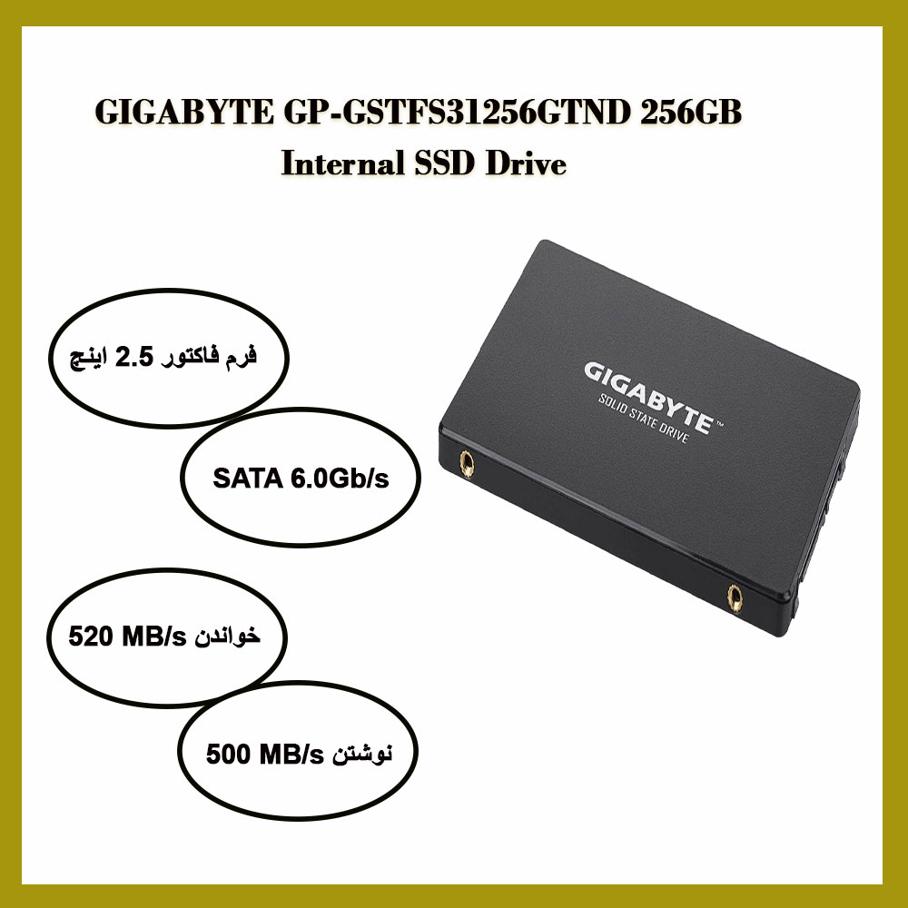 حافظه SSD گیگابایت GIGABYTE 256GB اینترنال GP-GSTFS31256GTND