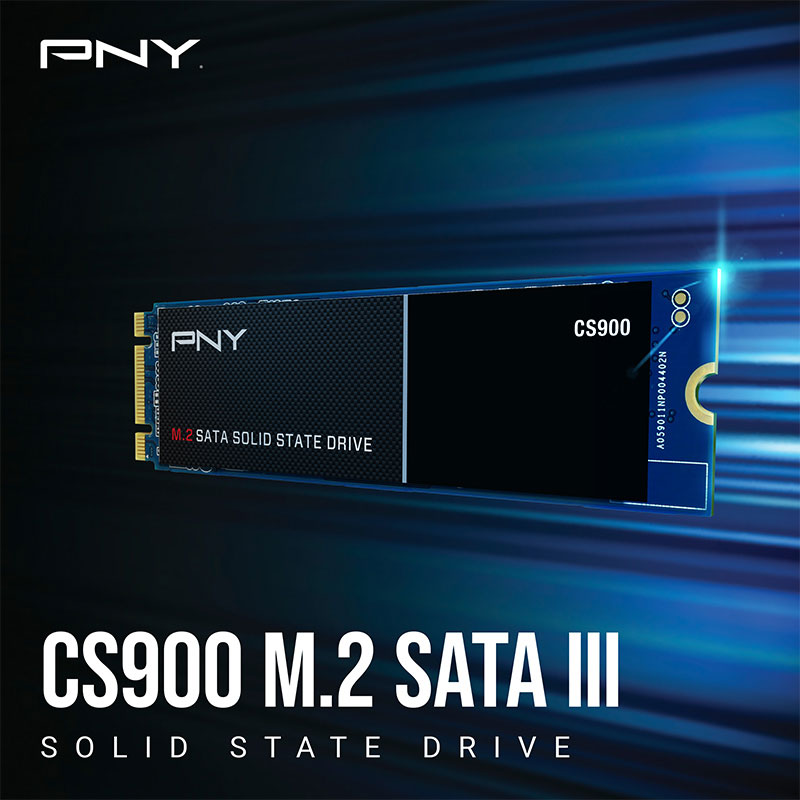 حافظه SSD پی ان وای PNY CS900 M.2 250GB اینترنال