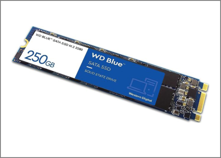 حافظه SSD وسترن دیجیتال Western Digital BLUE M.2 2280 NVMe 250GB اینترنال - shabakesaz